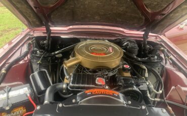 Ford-Thunderbird-1965-Coupe-9