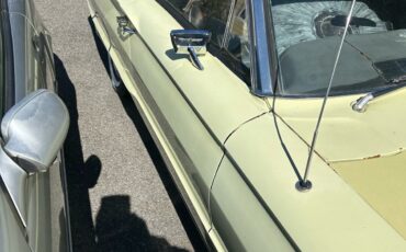 Ford-Thunderbird-1966-1