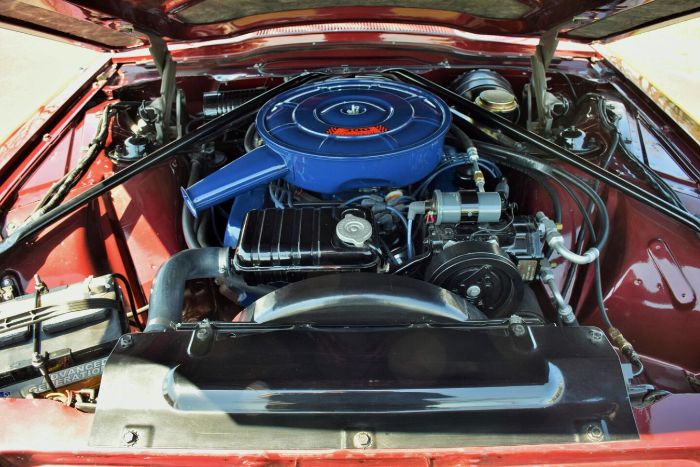 Ford-Thunderbird-1966-19