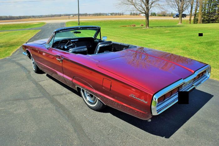 Ford-Thunderbird-1966-4