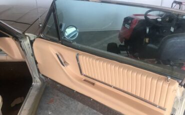 Ford-Thunderbird-1966-Brown-7