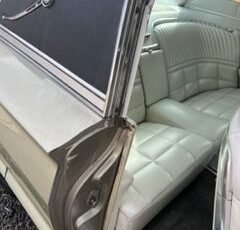 Ford-Thunderbird-1966-Green-Green-22