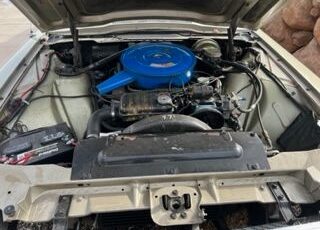 Ford-Thunderbird-1966-Green-Green-23