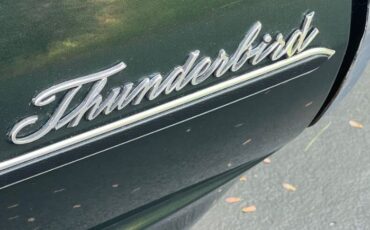 Ford-Thunderbird-1966-GreenBlack-Vinyl-To-Lime-Green-vinyl-12