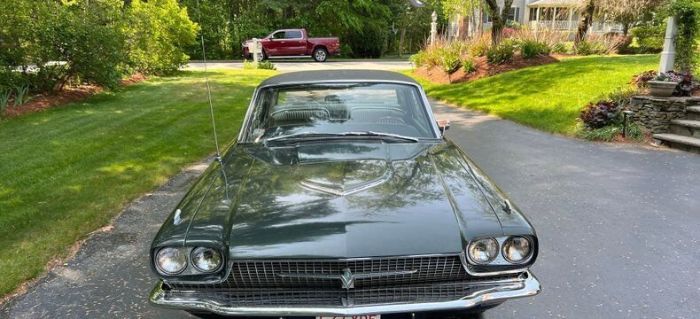 Ford-Thunderbird-1966-GreenBlack-Vinyl-To-Lime-Green-vinyl-7