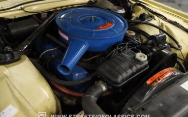 Ford-Thunderbird-1966-Ivy-Yellow-Black-44