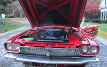Ford-Thunderbird-1966-Red-Red-6