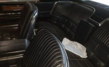Ford-Thunderbird-1966-Sage-Gold-Metallic-1