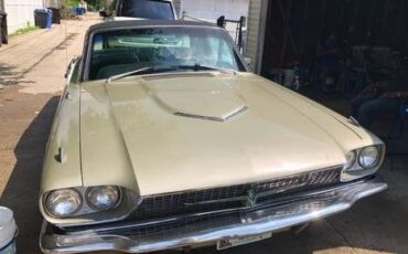 Ford-Thunderbird-1966-Sage-Gold-Metallic-2