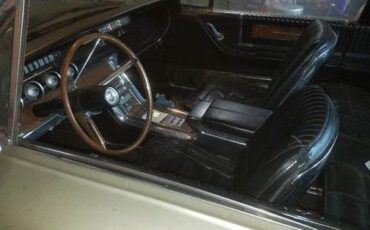 Ford-Thunderbird-1966-Sage-Gold-Metallic-4