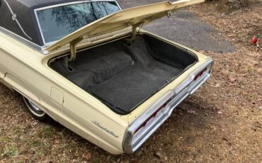 Ford-Thunderbird-1966-Yellow-7