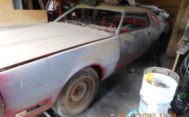 Ford-Thunderbird-1976-red-14