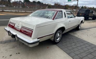 Ford-Thunderbird-1977-Polar-White-Burgundy-1