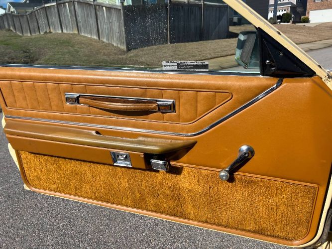 Ford-Thunderbird-1980-8