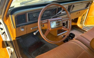 Ford-Thunderbird-1980-9