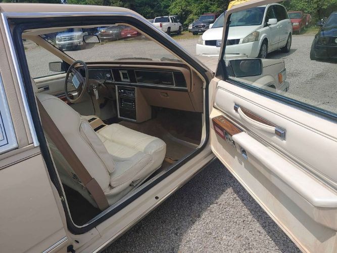 Ford-Thunderbird-1981-Beige-Beige-Leather-1