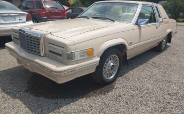 Ford-Thunderbird-1981-Beige-Beige-Leather-10