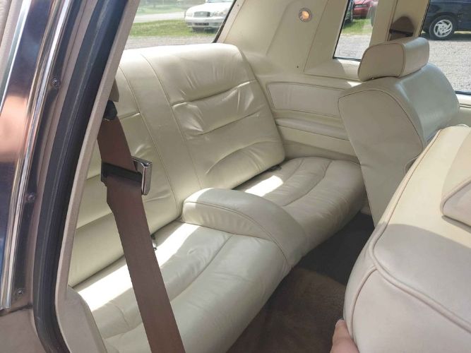 Ford-Thunderbird-1981-Beige-Beige-Leather-2