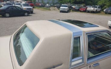Ford-Thunderbird-1981-Beige-Beige-Leather-4