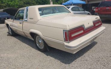 Ford-Thunderbird-1981-Beige-Beige-Leather-6