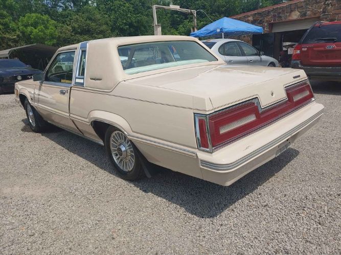 Ford-Thunderbird-1981-Beige-Beige-Leather-6
