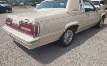 Ford-Thunderbird-1981-Beige-Beige-Leather-7