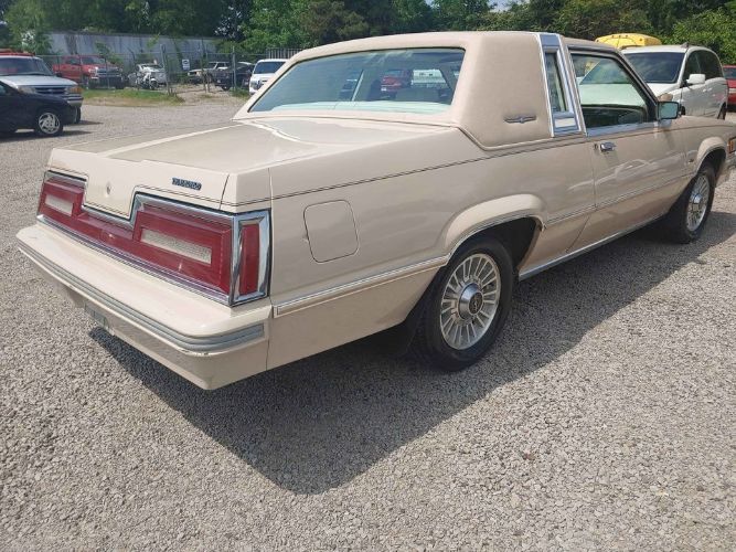 Ford-Thunderbird-1981-Beige-Beige-Leather-7
