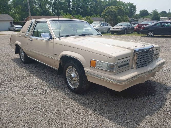 Ford-Thunderbird-1981-Beige-Beige-Leather-8