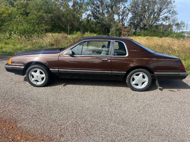 Ford-Thunderbird-1983-Brown-10