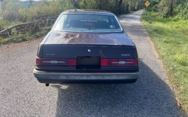 Ford-Thunderbird-1983-Brown-11