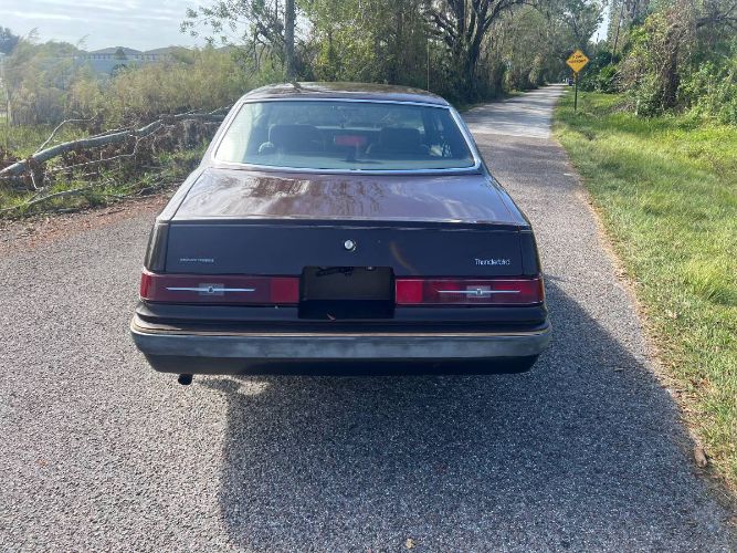 Ford-Thunderbird-1983-Brown-11
