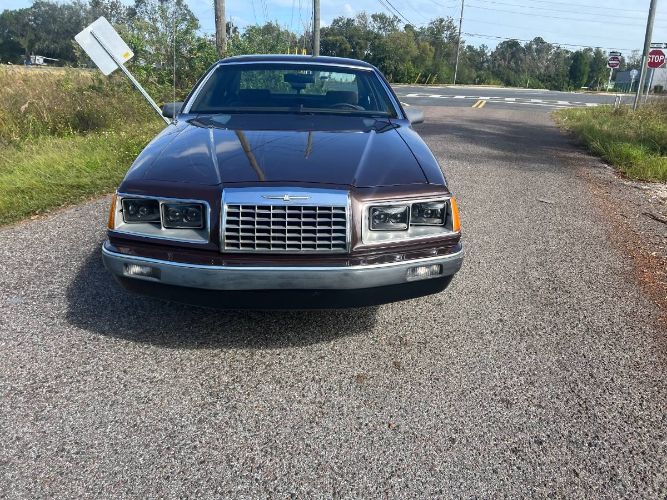 Ford-Thunderbird-1983-Brown-15