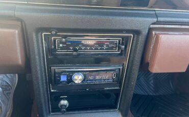 Ford-Thunderbird-1983-Brown-2