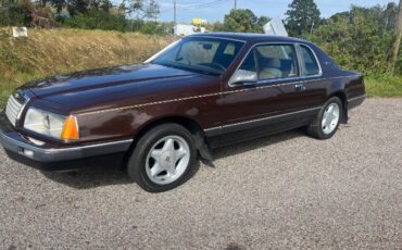 Ford-Thunderbird-1983-Brown
