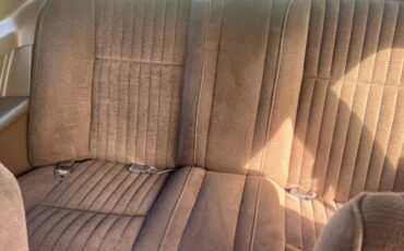 Ford-Thunderbird-1983-Brown-5