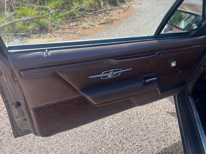 Ford-Thunderbird-1983-Brown-6