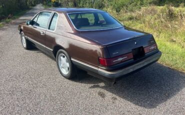 Ford-Thunderbird-1983-Brown-9