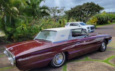 Ford-Thunderbird-classic-1965-custom-1
