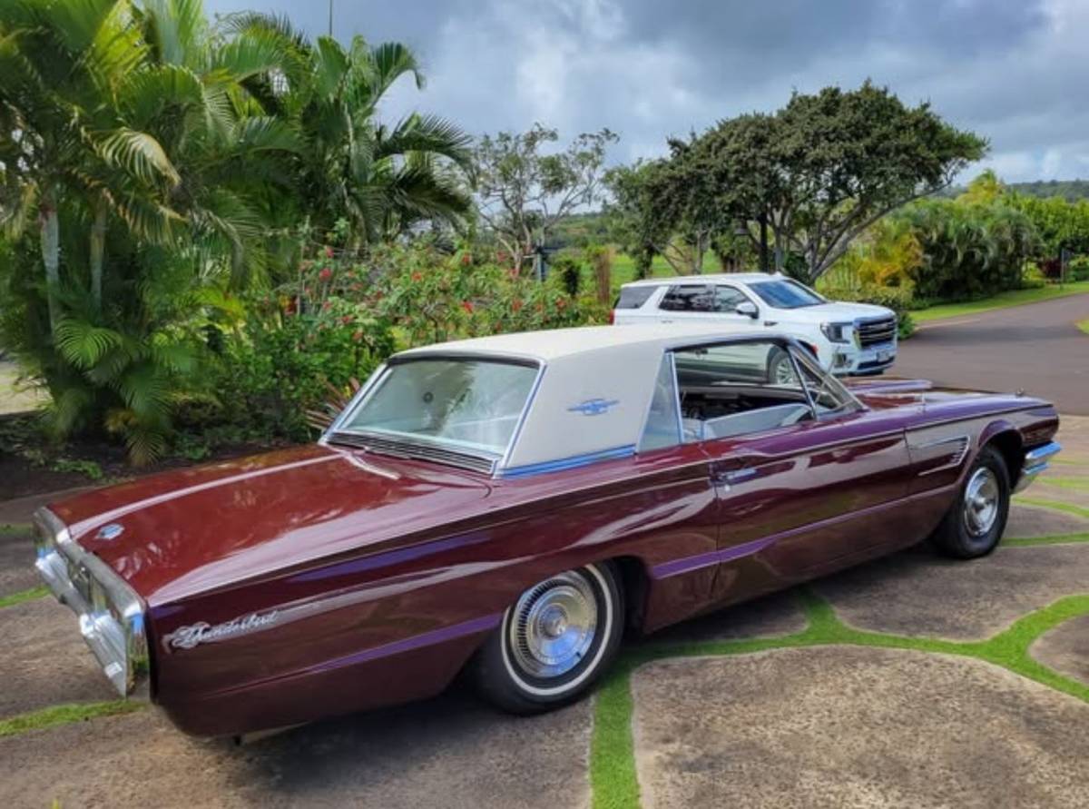 Ford-Thunderbird-classic-1965-custom-1