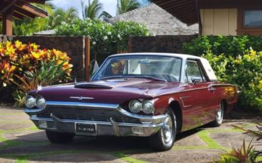 Ford-Thunderbird-classic-1965-custom