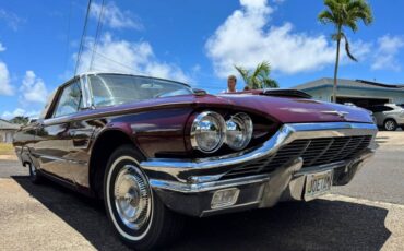 Ford-Thunderbird-classic-1965-custom-4