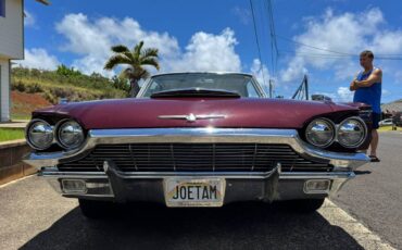 Ford-Thunderbird-classic-1965-custom-5