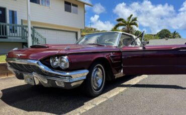 Ford-Thunderbird-classic-1965-custom-6
