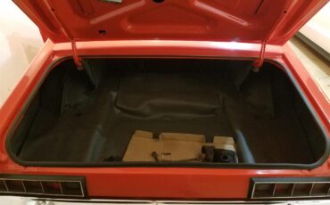 Ford-Torino-1970-Calypso-Coral-Black-7