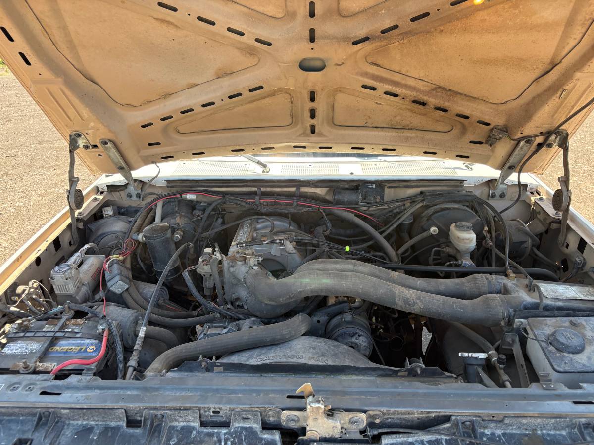 Ford-bronco-1987-white-9