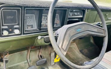 Ford-f-150-1976-green-14