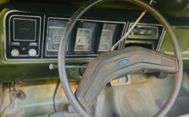 Ford-f-150-1976-green-15