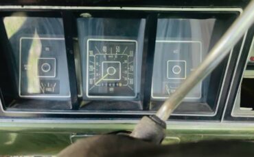 Ford-f-150-1976-green-17