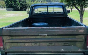 Ford-f-150-1976-green-2