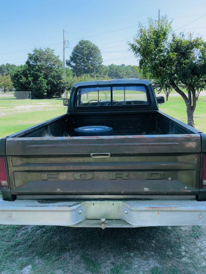 Ford-f-150-1976-green-2